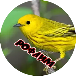 Очень злые птички sticker 10