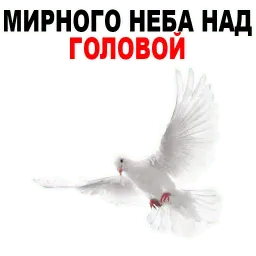 День Победы sticker 2