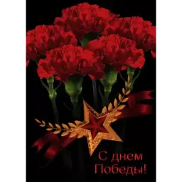 9 мая sticker 2