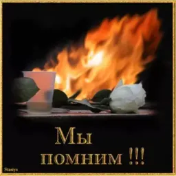 9 мая sticker 5