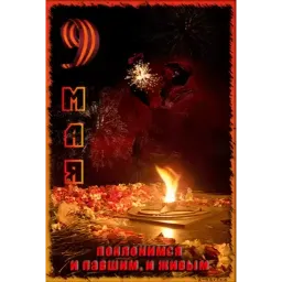 9 мая sticker 6