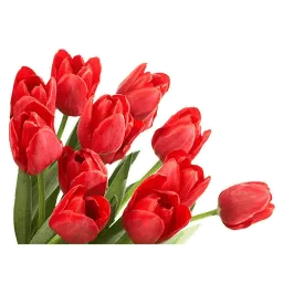 8 марта sticker 8