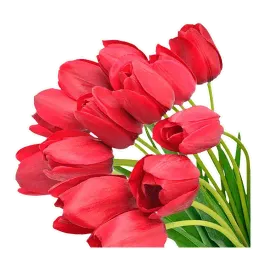 8 марта sticker 9