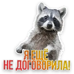 Не домашние животные Telegram sticker pack