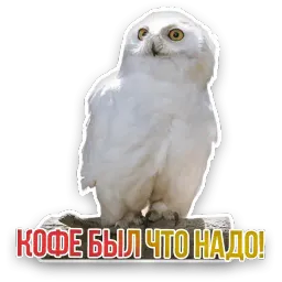 Не домашние животные sticker 2