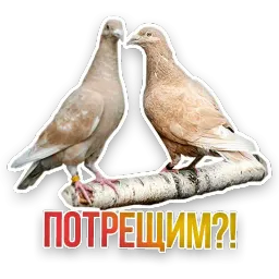 Не домашние животные sticker 11
