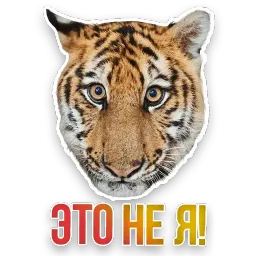 Не домашние животные sticker 3