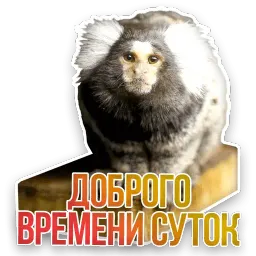 Не домашние животные sticker 4