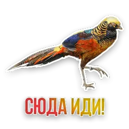 Не домашние животные sticker 5