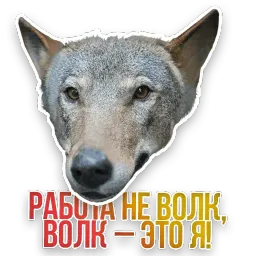 Не домашние животные sticker 7
