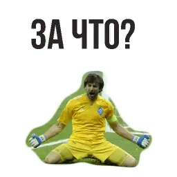 ⚽ Чемпионат Мира по Футболу sticker 5