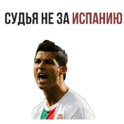 ⚽ Чемпионат Мира по Футболу sticker 6