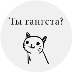 BesishCat sticker 3