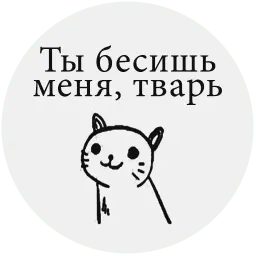 BesishCat sticker 4