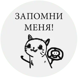 BesishCat sticker 6