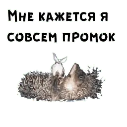 Ёжик в тумане sticker 12
