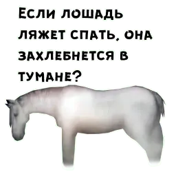 Ёжик в тумане sticker 5