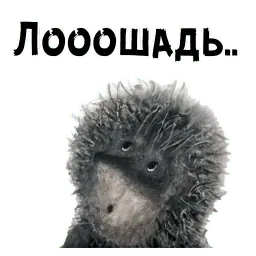 Ёжик в тумане sticker 6