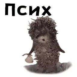 Ёжик в тумане sticker 9