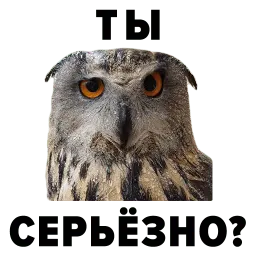 Зоодурдом Telegram sticker pack