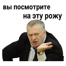 Владимир Жириновский sticker 11