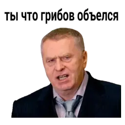 Владимир Жириновский sticker 12