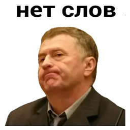 Владимир Жириновский sticker 3