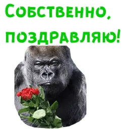 Женский день Telegram sticker pack