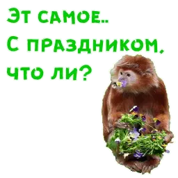 Женский день sticker 2