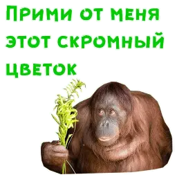 Женский день sticker 11