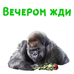 Женский день sticker 12