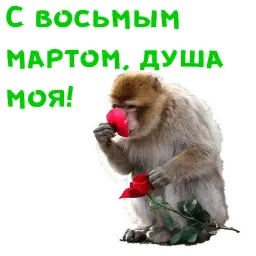 Женский день sticker 3