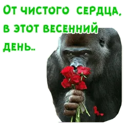 Женский день sticker 4