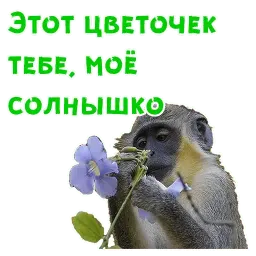 Женский день sticker 6