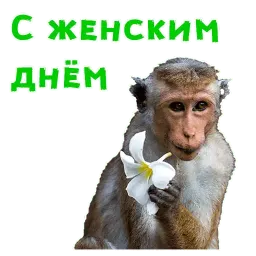 Женский день sticker 7