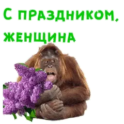 Женский день sticker 8