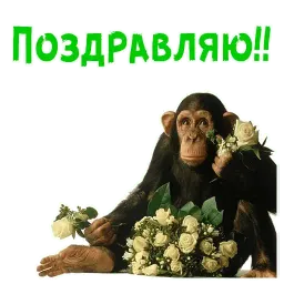 Женский день sticker 9