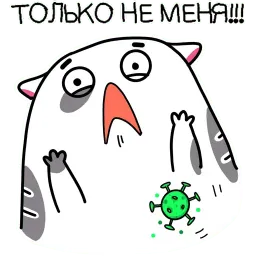 Жиробарсик 3 Telegram sticker pack