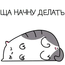 Жиробарсик 3 sticker 5