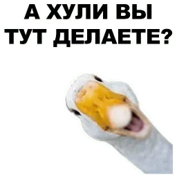 Животные @eeZee_stickers sticker 2