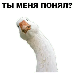 Животные @eeZee_stickers sticker 11