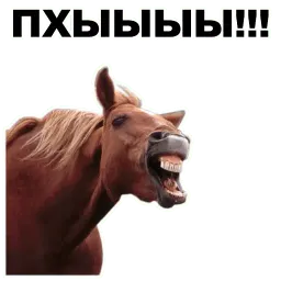 Животные @eeZee_stickers sticker 4