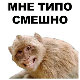 Животные @eeZee_stickers sticker 5