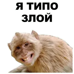 Животные @eeZee_stickers sticker 6