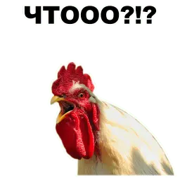 Животные @eeZee_stickers sticker 7
