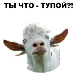 Животные @eeZee_stickers sticker 8
