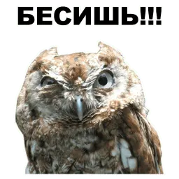 Животные @eeZee_stickers sticker 9