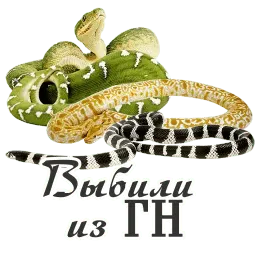Авторское sticker 12