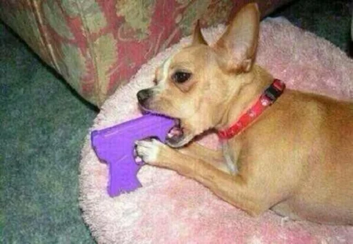 vai tomar no cu sticker 6
