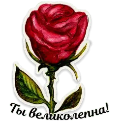 Акварель sticker 5